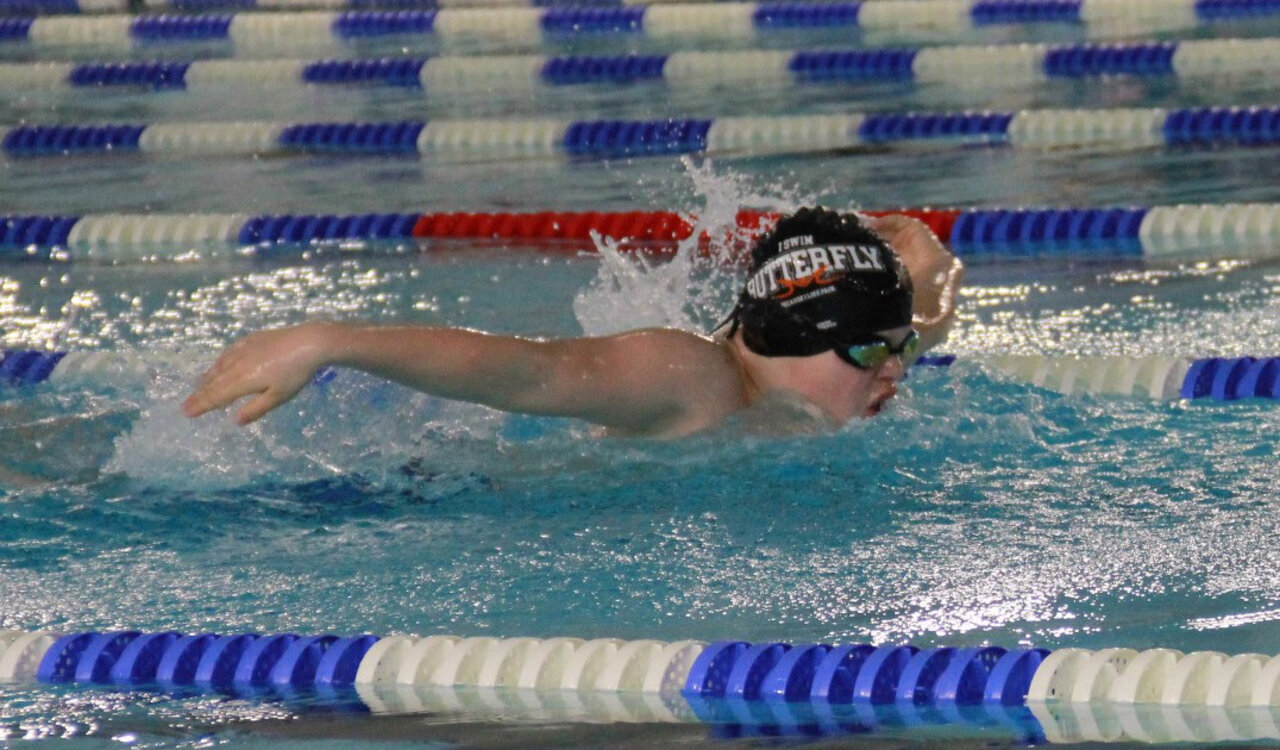 Delphin-Schwimmer aus Aue.