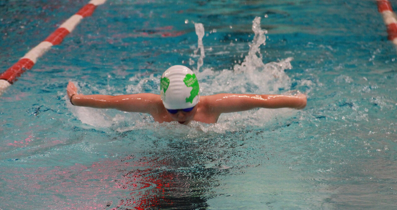 Delphinschwimmen.