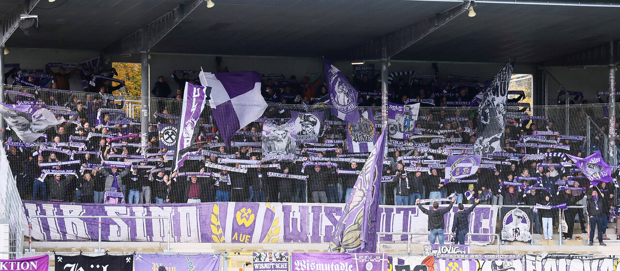Aue-Fanblock in Hoffenheim.