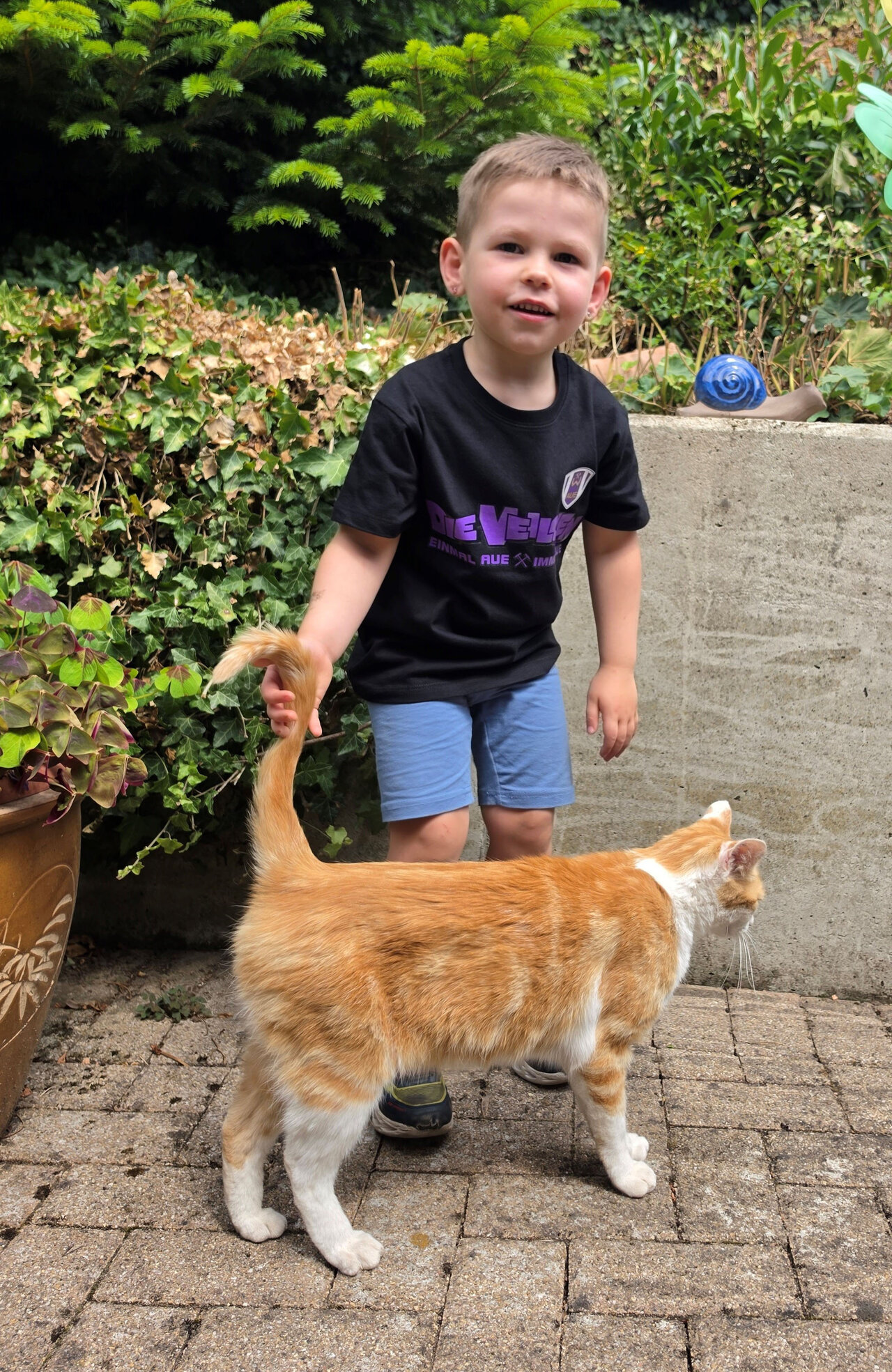 Bruno (4) mit Katze.