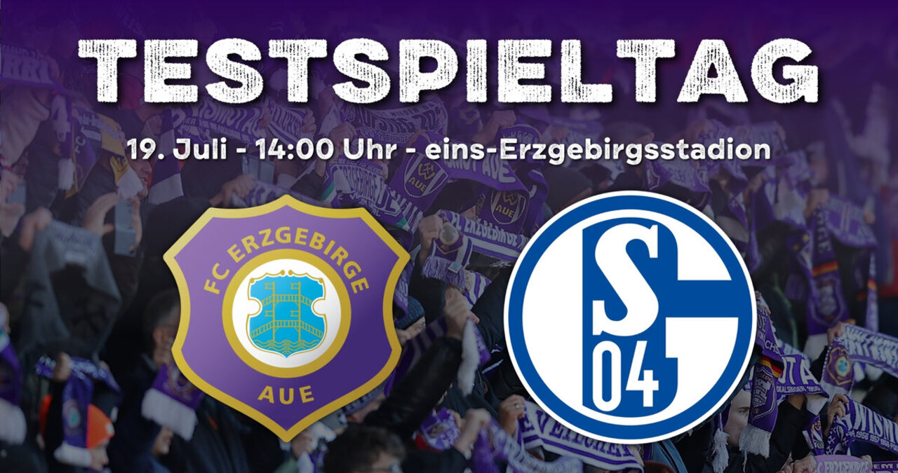 Grafik Schalke-Testspiel.