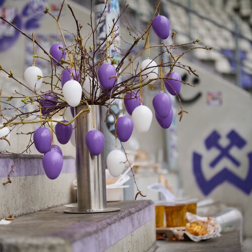 ᴰᵉⁿⁿᵒᶜʰ Frohe Ostern, liebe #Veilchen-Fans 💜🫶🏼

#Kumpelverein ⚒️ #Aue
